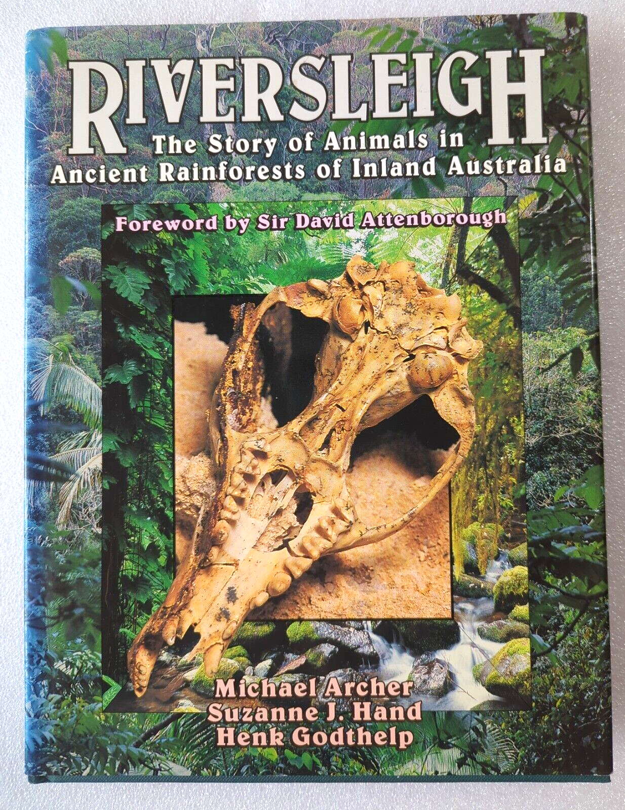Riversleigh Animals In Ancient Rainforests Of Inland Australia by Henk Godthelp, Michael Archer, Suzanne Hand