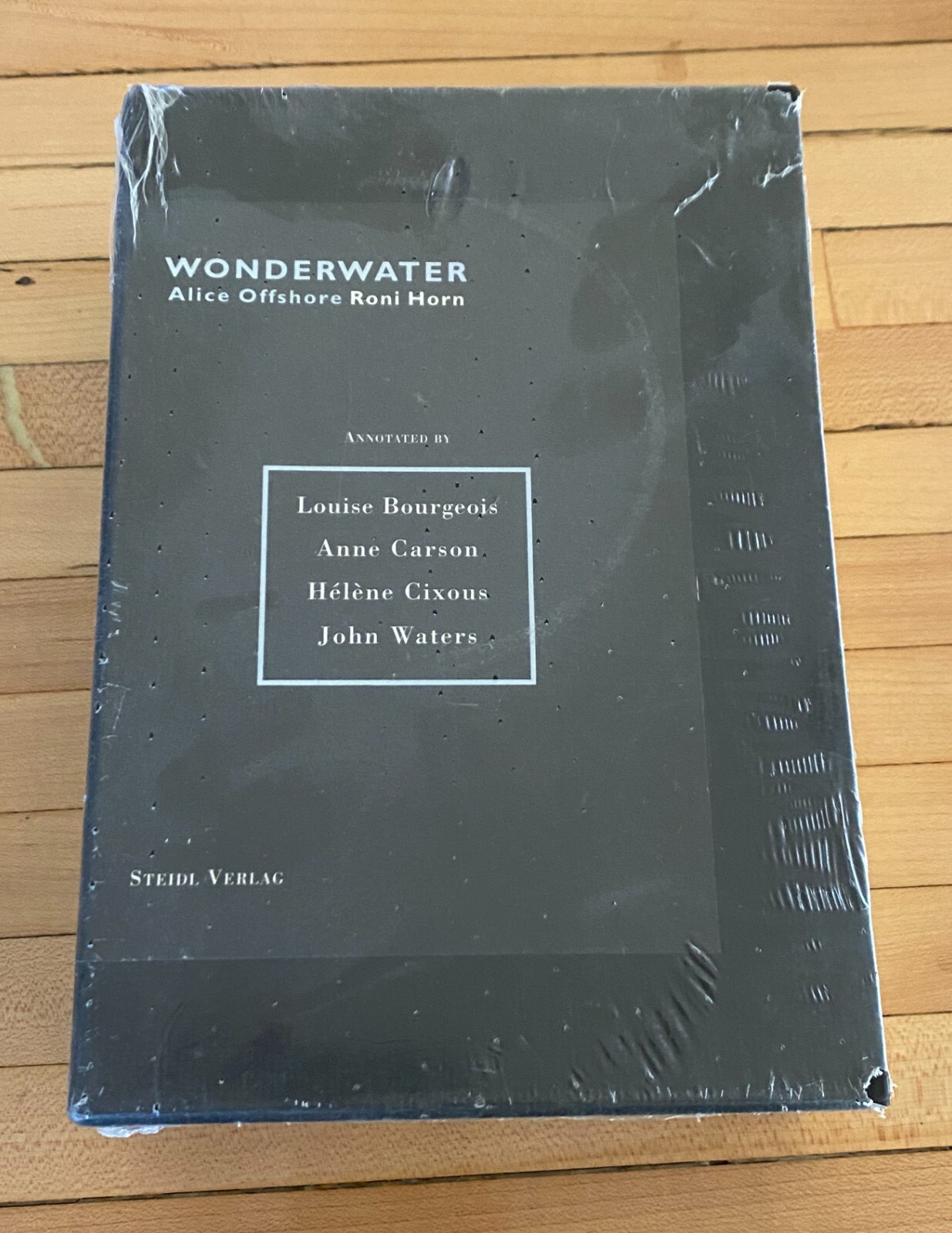 Roni Horn Wonderwater Louise Bourgeois Anne Carson Hélène