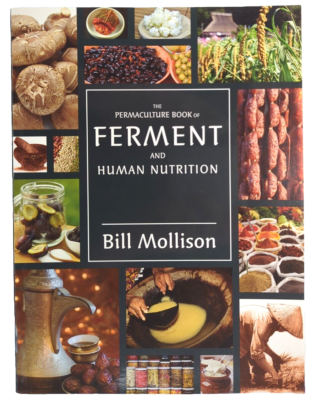 The Permaculture Book of Ferment and Human Nutrition by Bill Mollison