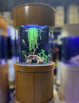 WARRANTY INCLUDED! 90 gallon GLASS round cylinder wall aquarium fish tank oak