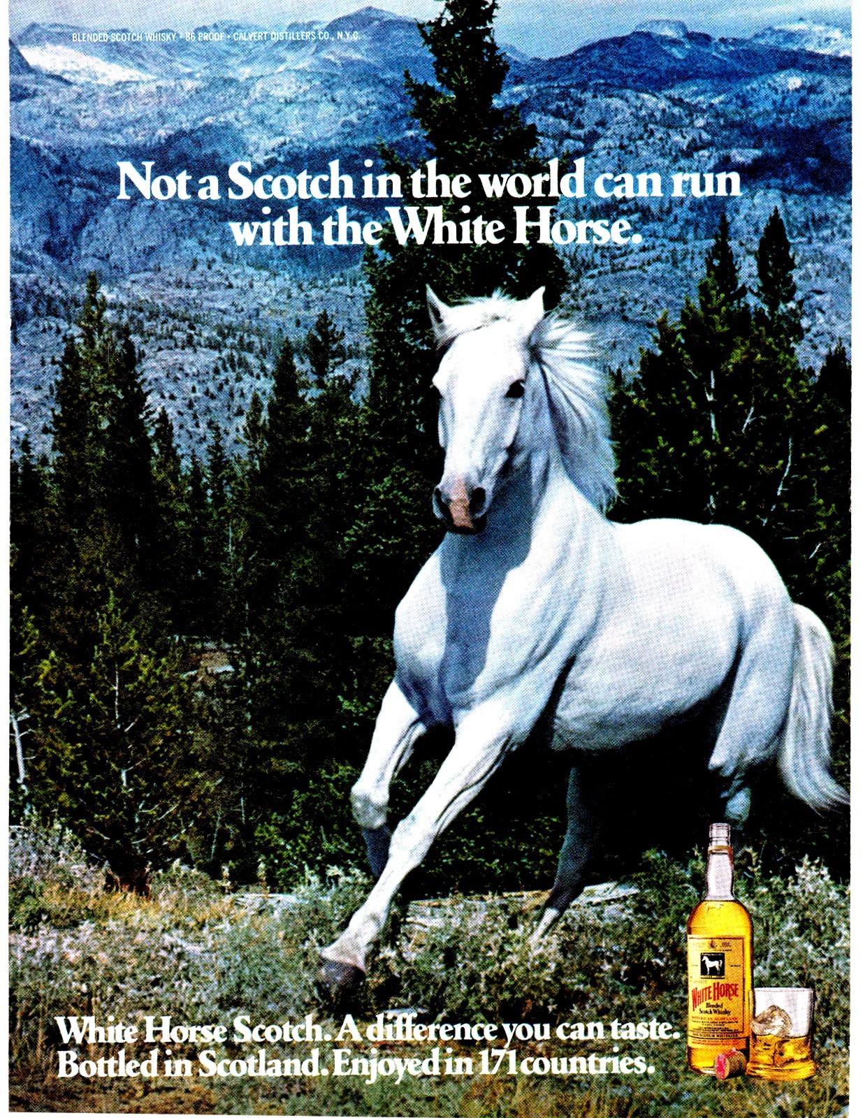 Original Print Ad-1977 Not a SCOTCH In The World Can Run With The WHITE HORSE !