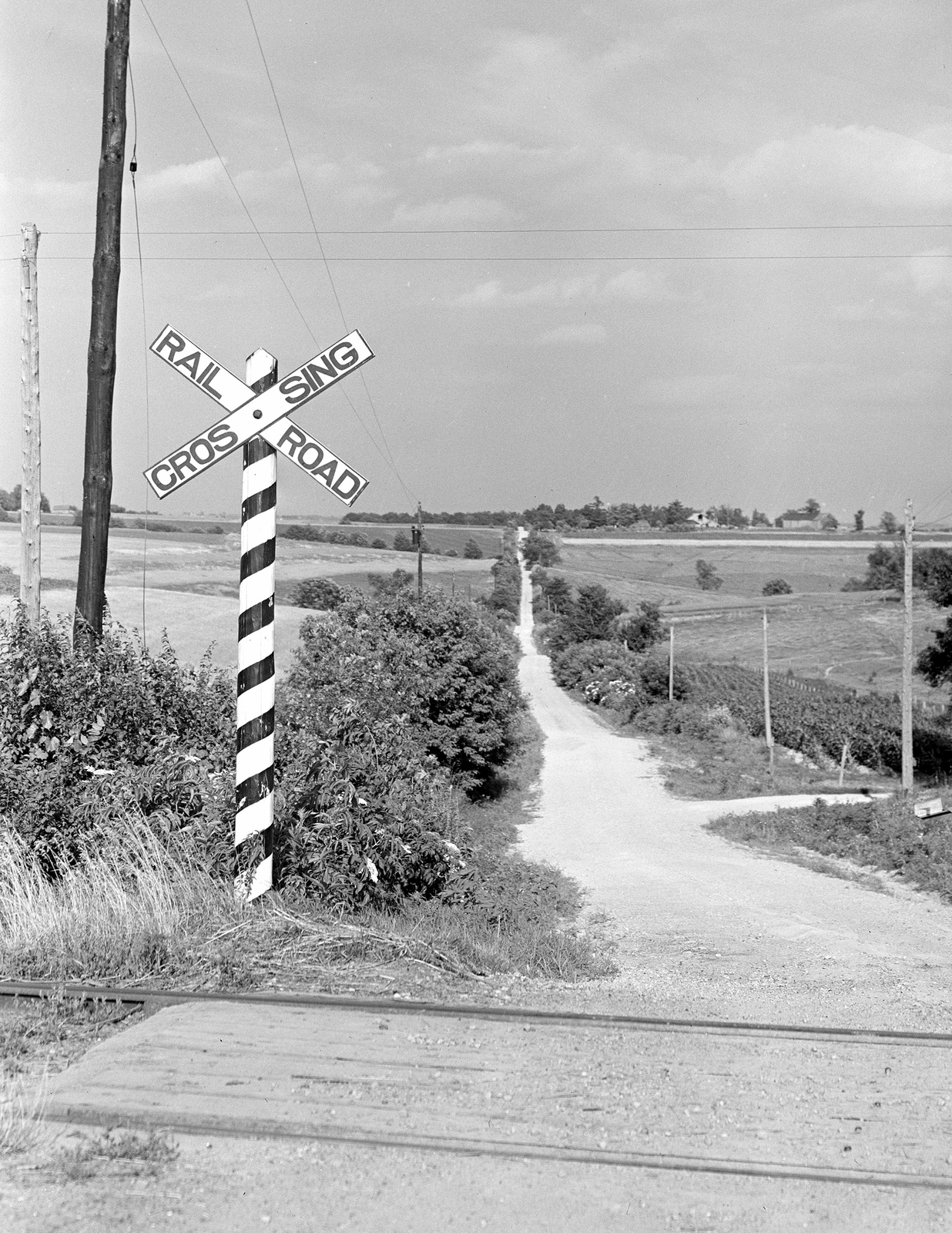 1941 Rural Road, Vernon County, Wisconsin Vintage Old Photo 8.5" x 11" Reprint