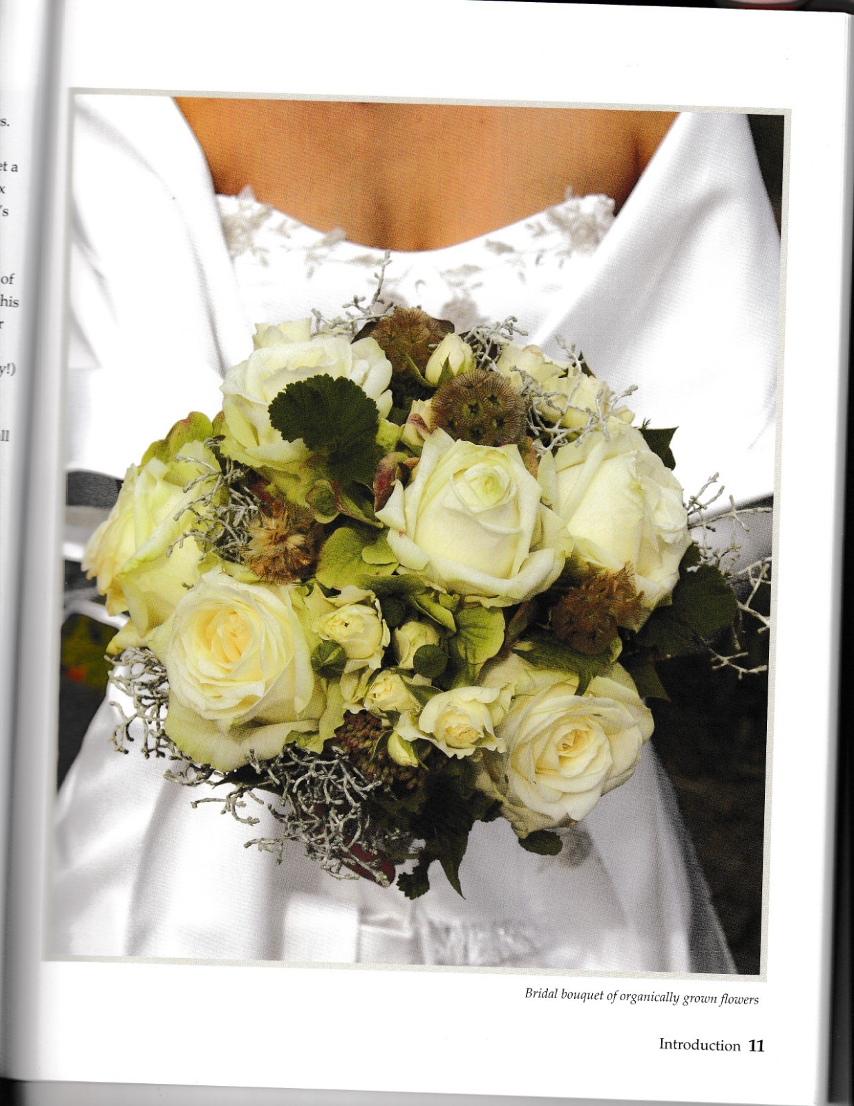 The Green Wedding Guide | Leisure Arts 4638