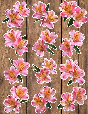 Alstroemeria Flowers Die Cut Vinyl Stickers Set Scrapbooking Laptop Waterbottle 