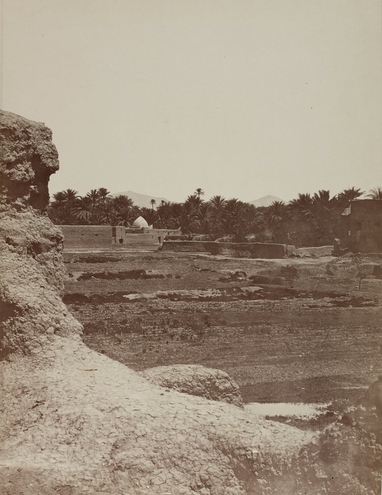 Albumen, Oasis Desert Algeria - Vintage Photographs Old Original c. 1870