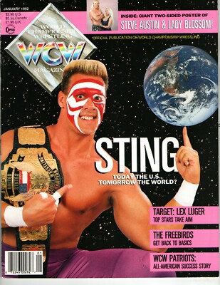 ⚪︎希少WCW WWE スティングポスター Sting Poster WCW nWo AEW WWF WWE 58.3cm×88.8cm Vintage | eBay