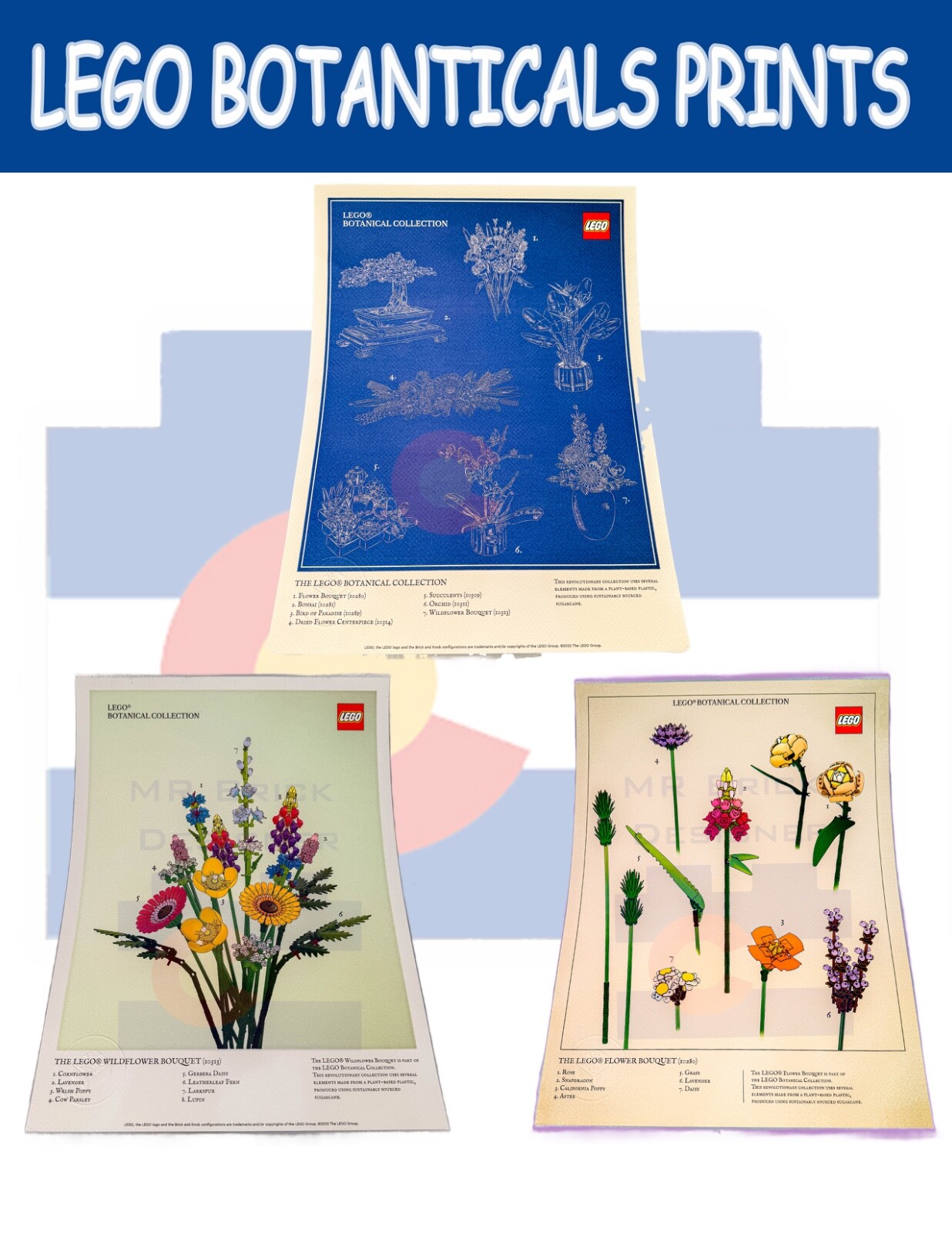 BOTANICAL ART 【import品】 Amazon.com: Vintage Botanical Prints | Wildflower Art Prints