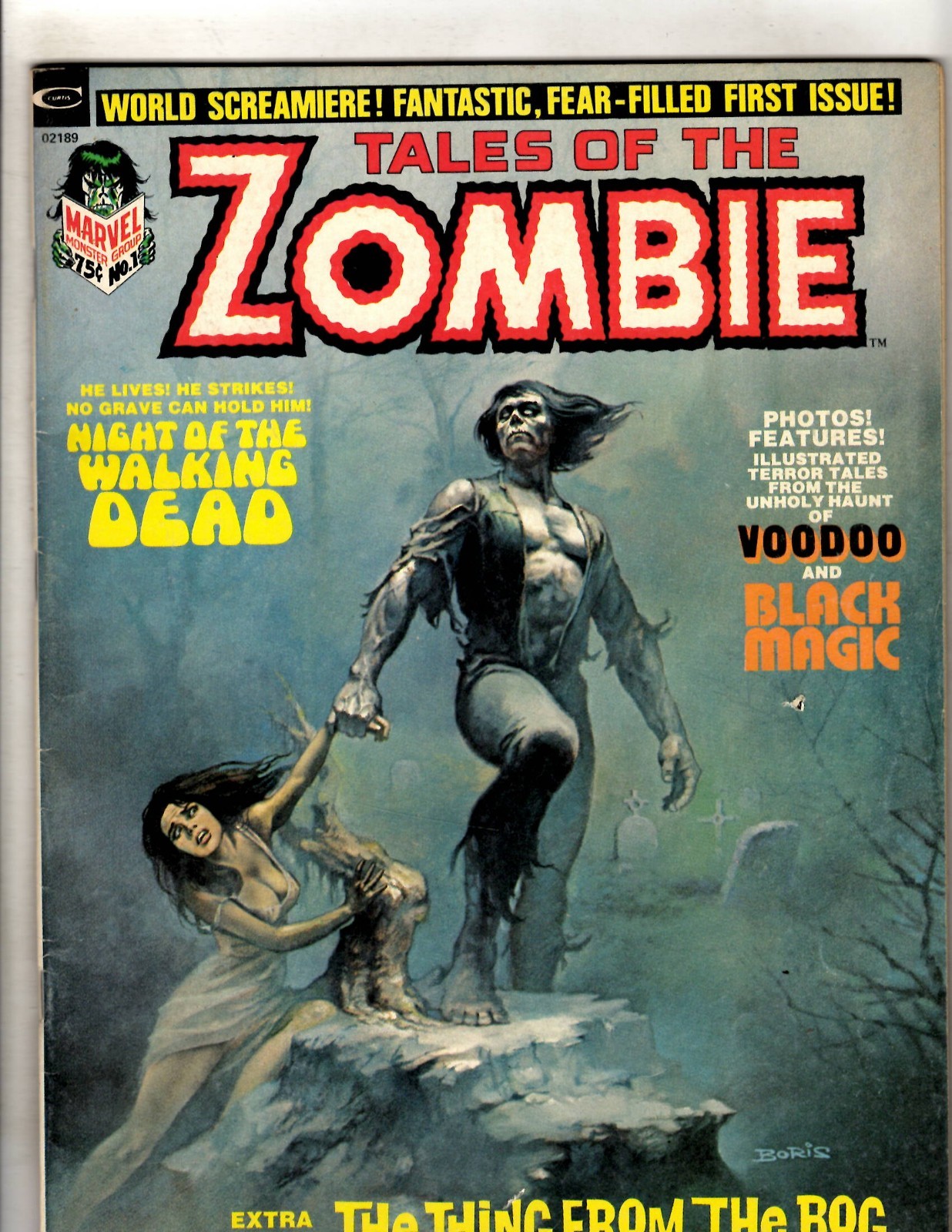 洋書 TOM THE COMICS VOLUME 1 image-comics-graphic-novel-the