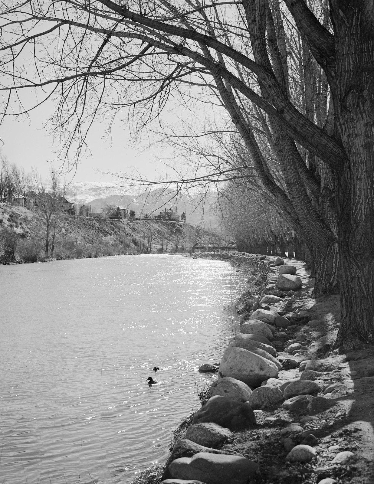 1940 Truckee River, Reno, Nevada Vintage Old Photo 8.5" x 11" Reprint