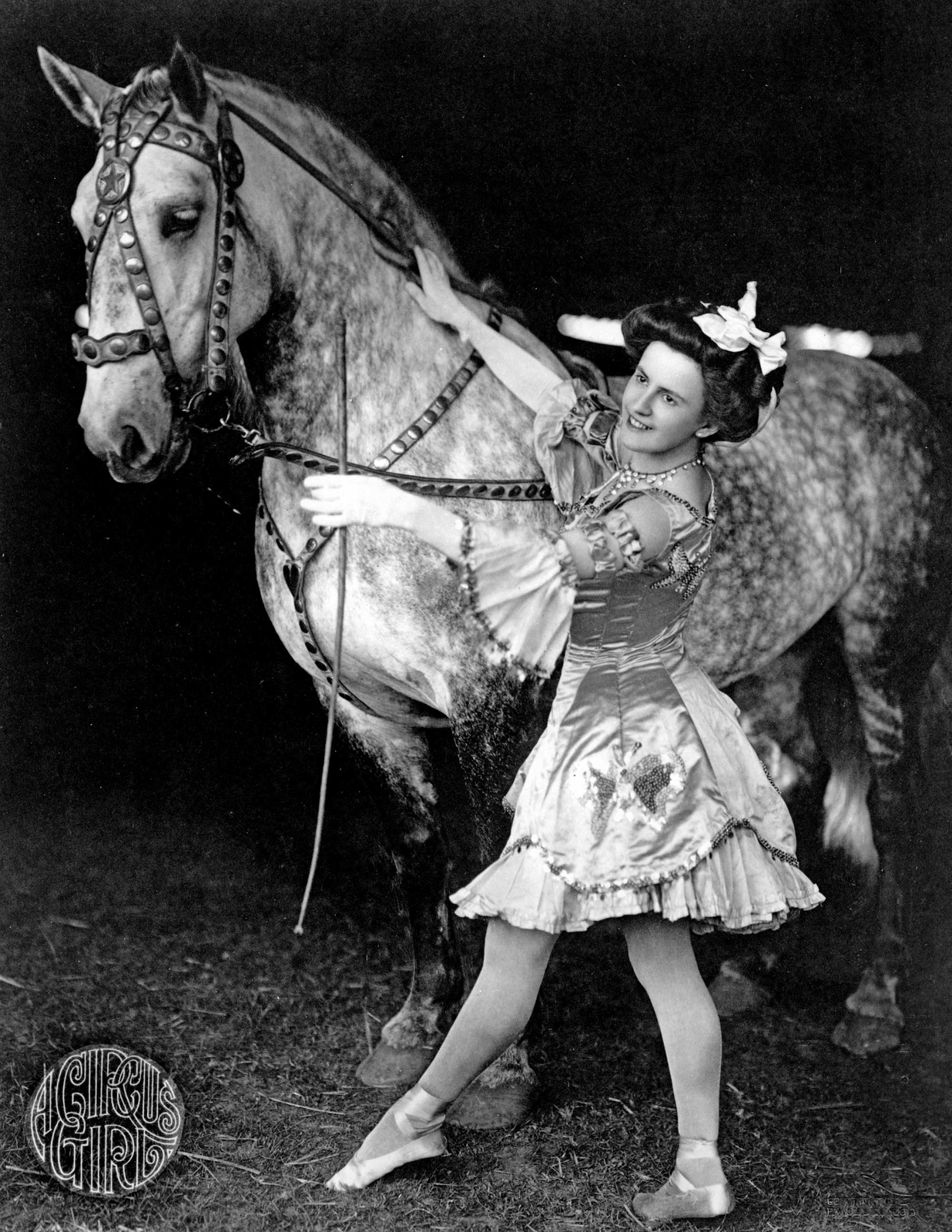 1908 Circus Girl & Horse, Brockton, Massachusetts Old Photo 8.5" x 11" Reprint