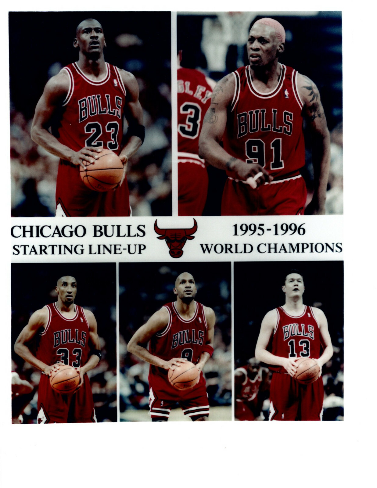 1995 chicago bulls roster