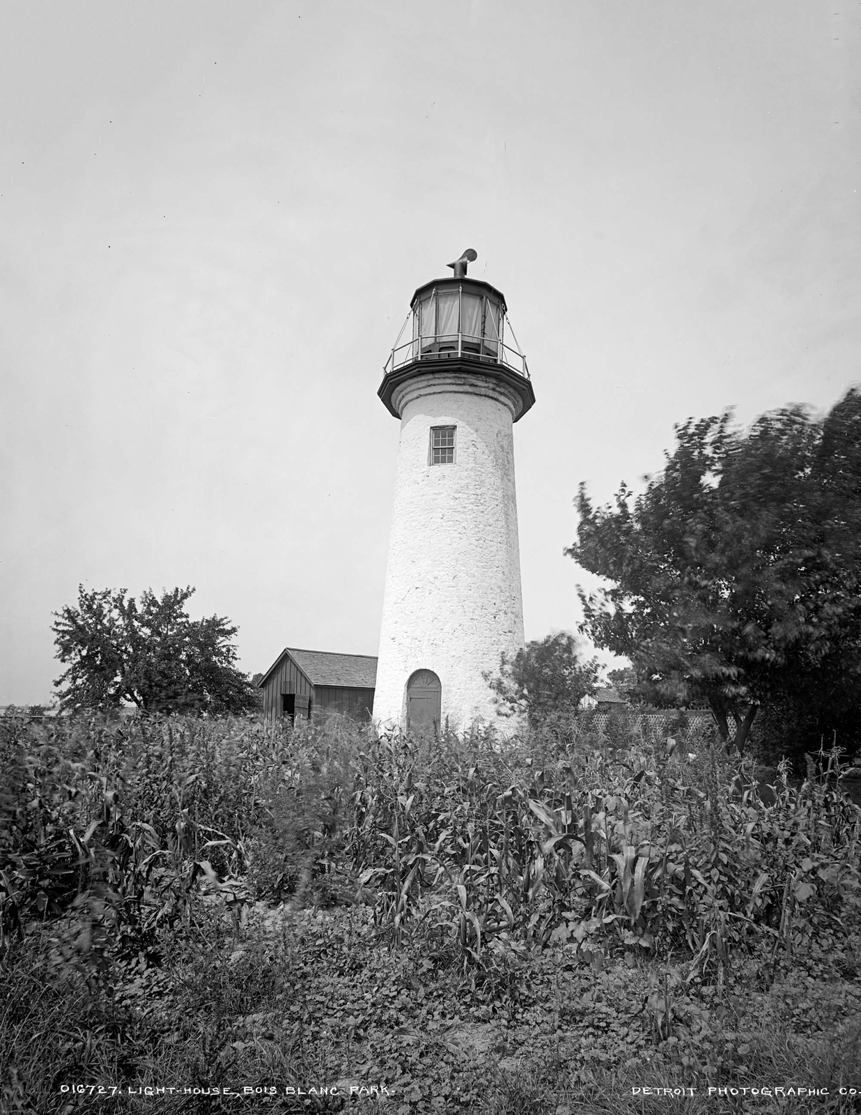 1906 Lighthouse, Bois Blanc Park, Michigan Vintage Old Photo 8.5" x 11" Reprint