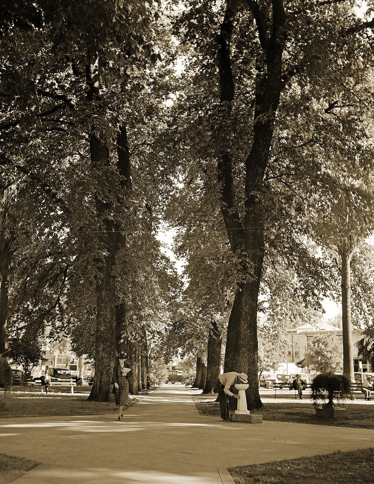 1942 City Park, Chico, California Vintage Old Photo 8.5" x 11" Reprint