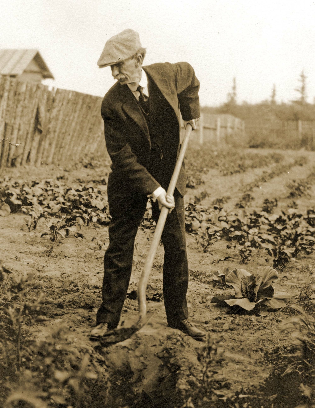 1910 Frank G. Carpenter Gardening Vintage Old Photo 8.5" x 11" Reprint
