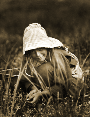1913 Cranberry Picker, New Jersey Old Photo 8.5" x 11" Reprint