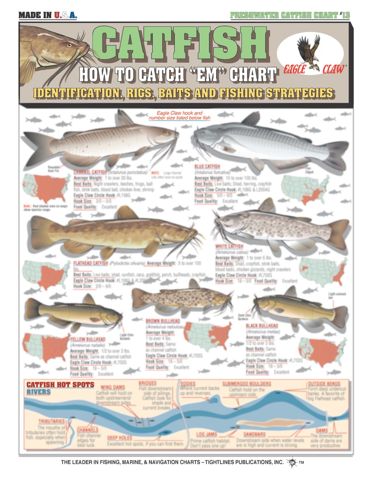 SHU様 確認用　5.8 catfish SHU様 確認用 5.8 catfish Catfish Fish Identification #13 (Rigs