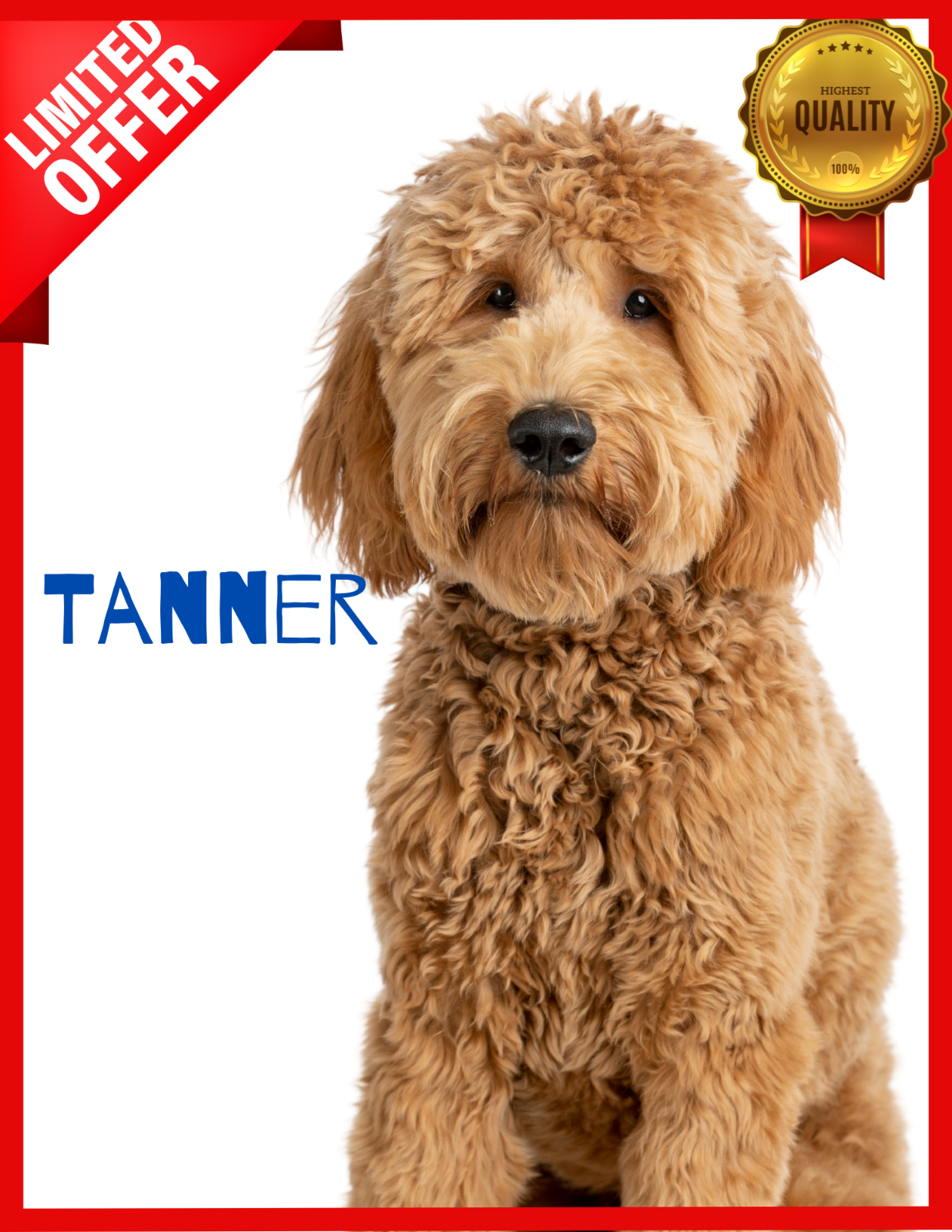Goldendoodle Custom Dog Throw Blanket Personalized Photo Gift 30x40 50x60 60x80