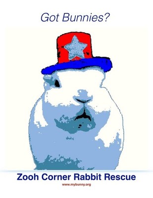 Zooh Corner Rabbit Rescue