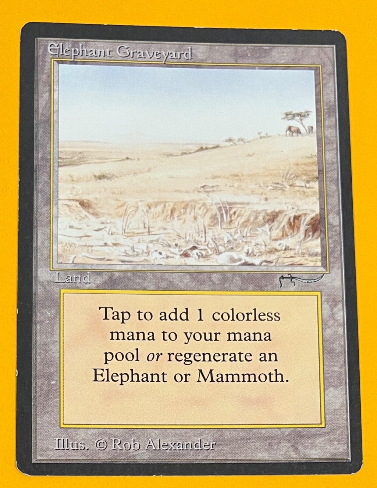 Elephant Graveyard 土地カード アラビアンナイト MTG Elephant