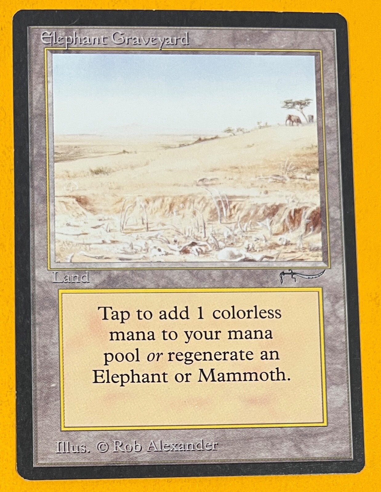 Elephant Graveyard　アラビアンナイト Elephant Graveyard - Arabian Nights - MTG - BGS 9 with two