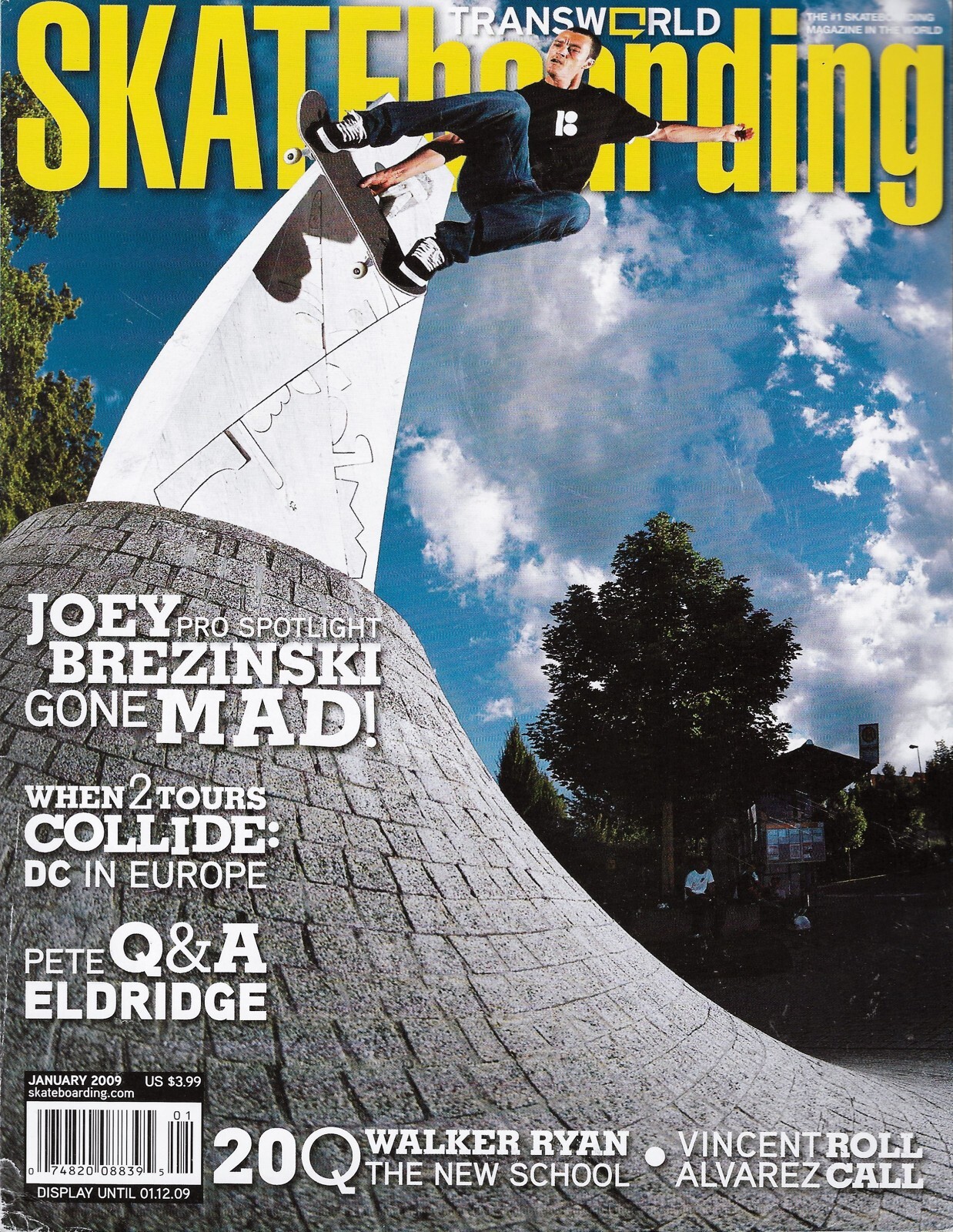 TRANSWORLD SKATEBOARD JAPAN スケートボード　雑誌 TRANSWORLD SKATEboarding JAPAN｜定期購読 - 雑誌のFujisan