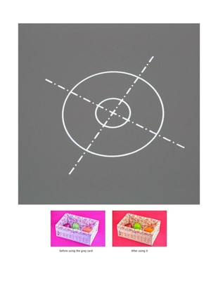 Lightdow 12 x 12 Inch (30 x 30 cm) White Balance 18% Gray Reference Reflector...