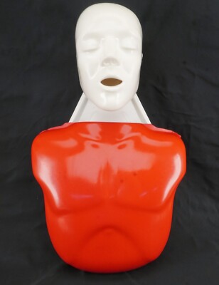 Lifeform Nasco Basic Buddy CPR Training Adult Replacement Form/Chest & Head
