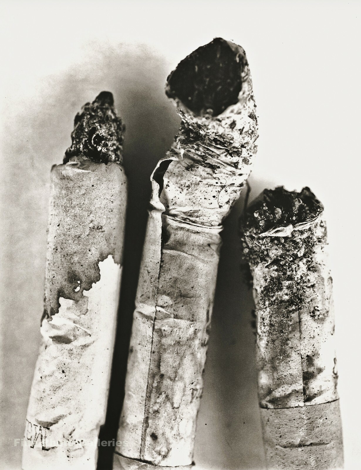 【Drawings：Irving Penn】Irving Penn1999年初版 Lot 9 | AMERICAN SKULL OF GORILLA PHOTO BY IRVING PENN