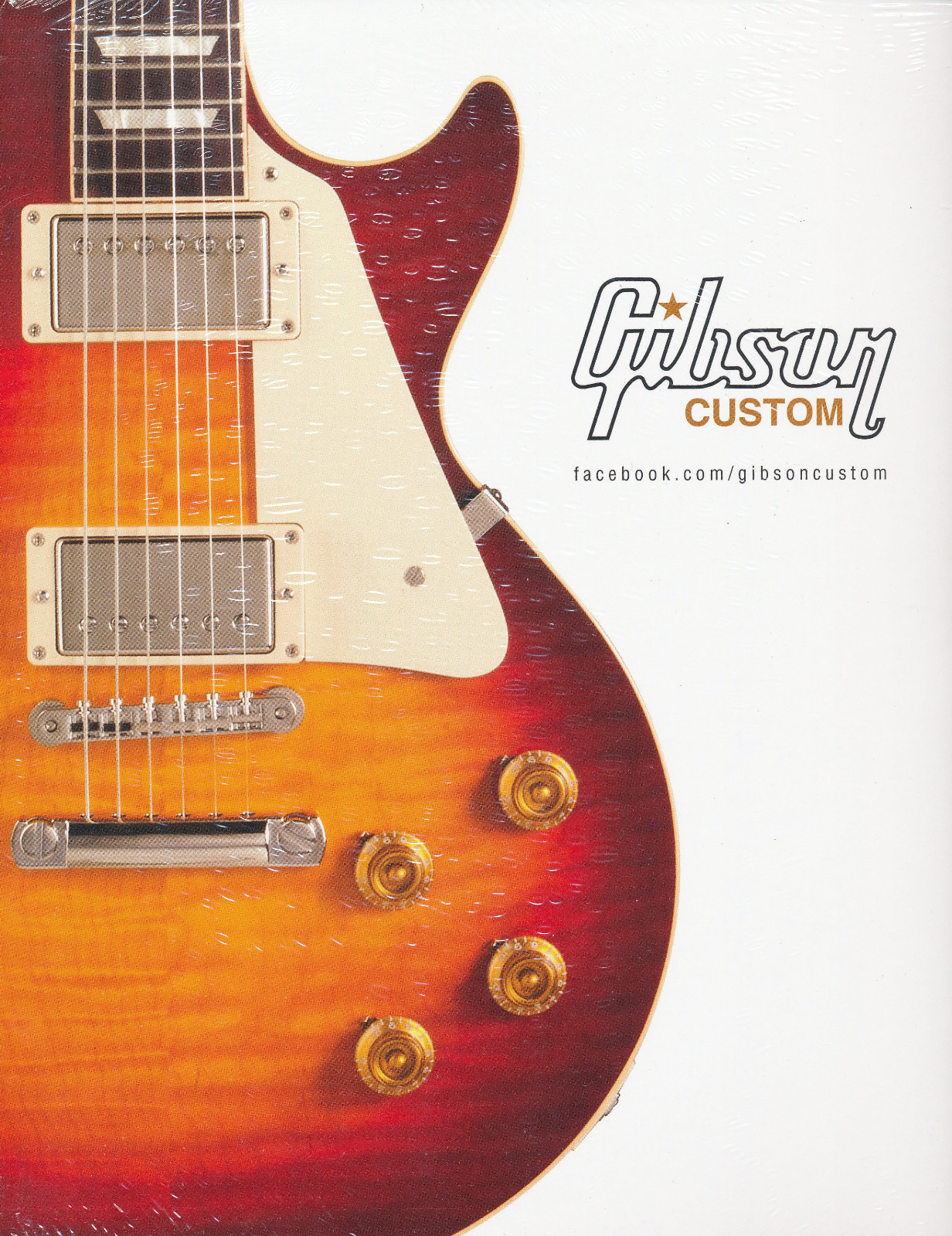 The Guitar: An American Love Story Tennessee State Museum Nashville, TN