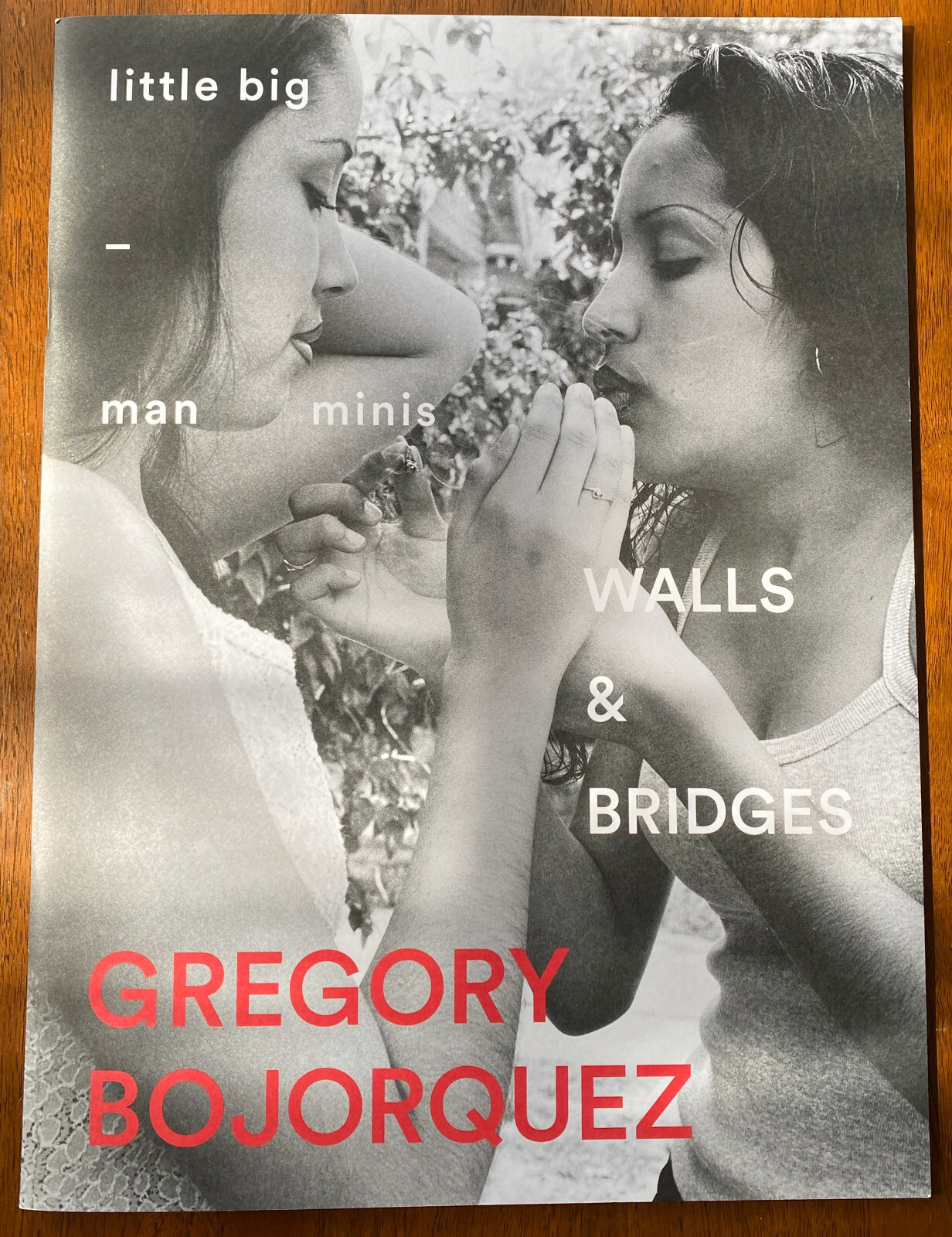 洋書 WALLS & BRIDGES GREGORY BOJORQUEZ Greg Bojorquez. WALLS & BRIDGES. Out of Print. – Little Big