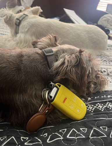 Artikelfoto(s) von einem verifizierten Käufer