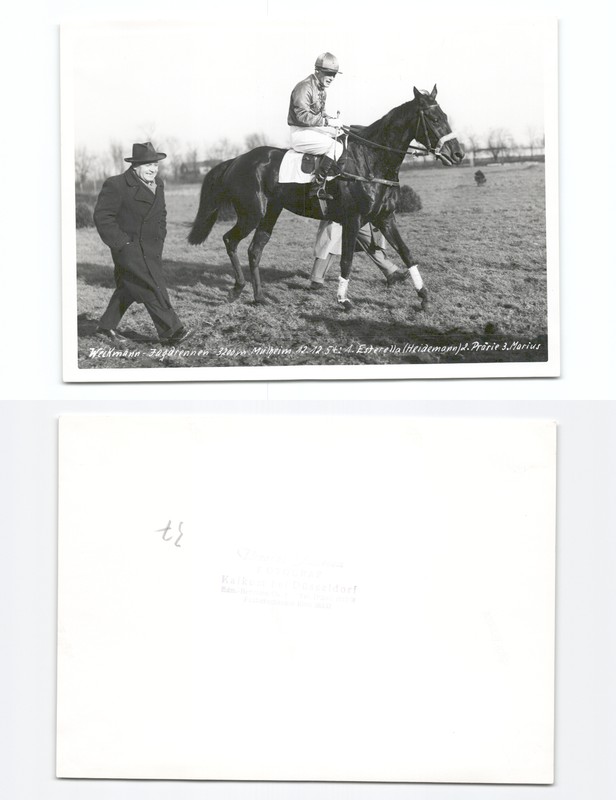 (C937137)   Pferderennen Mï¿½Lheim 1954, Ca 13x17, Nachlass Heidemann