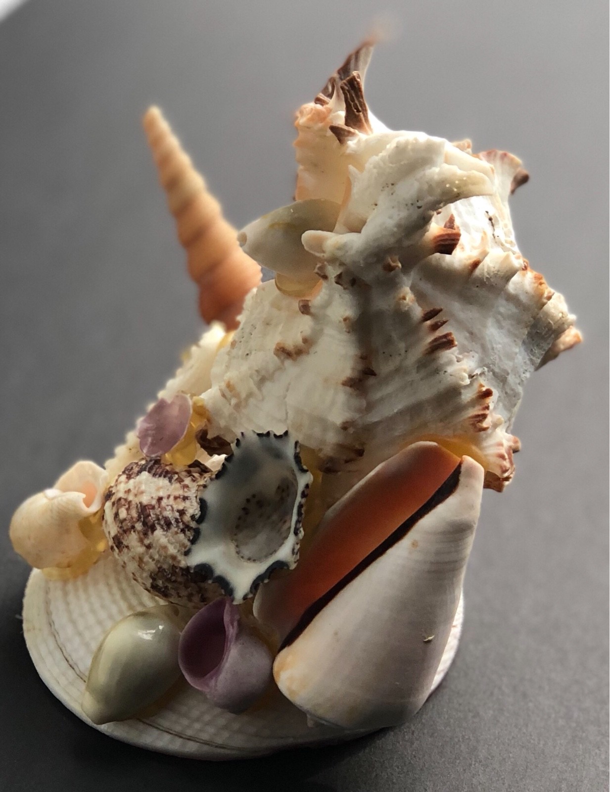 Vintage Seashell Souvenir Stacked Seashells Mississippi Gulf Coast Hand Made