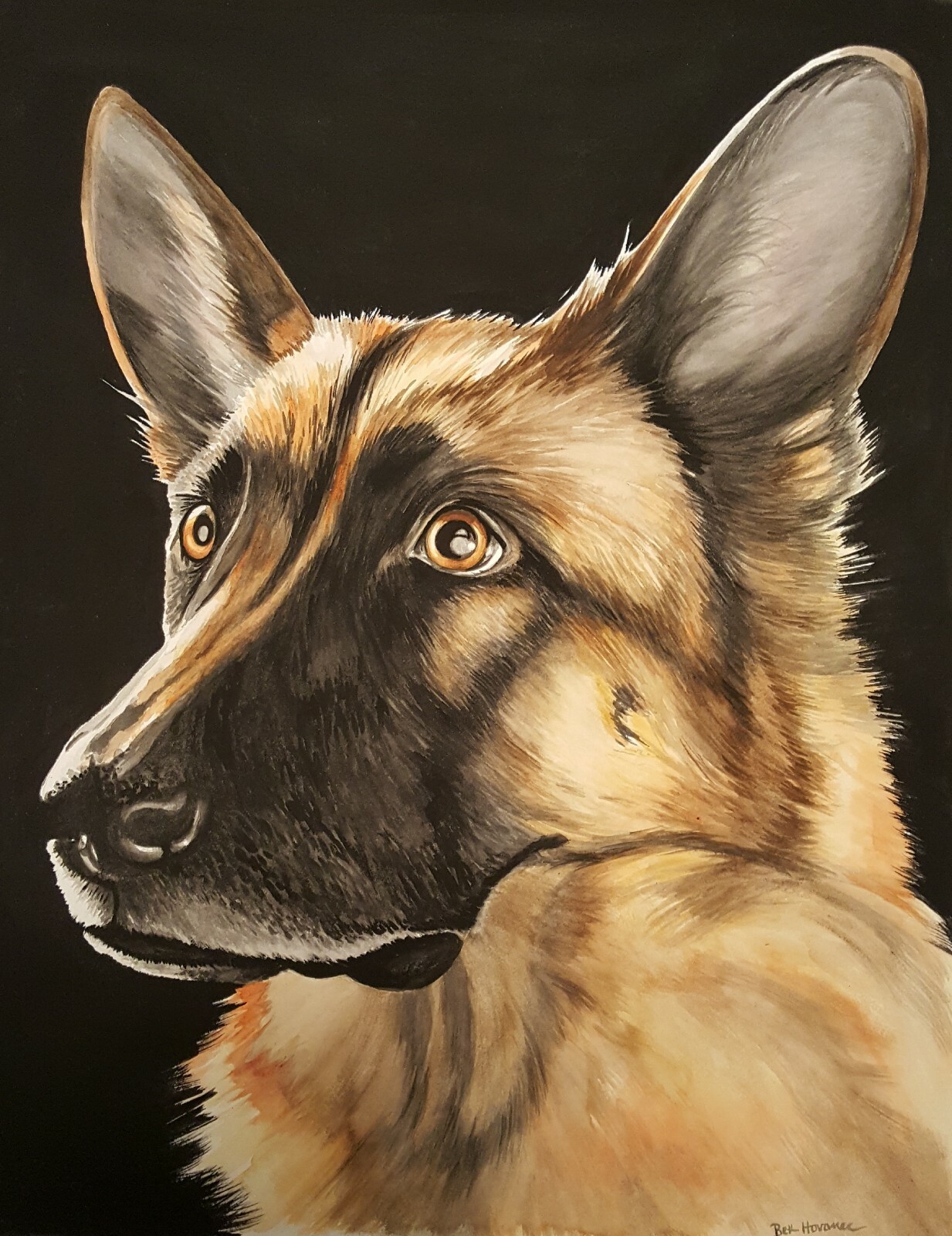 German Shepherd Dog Realistic Watercolor Painting Free ...