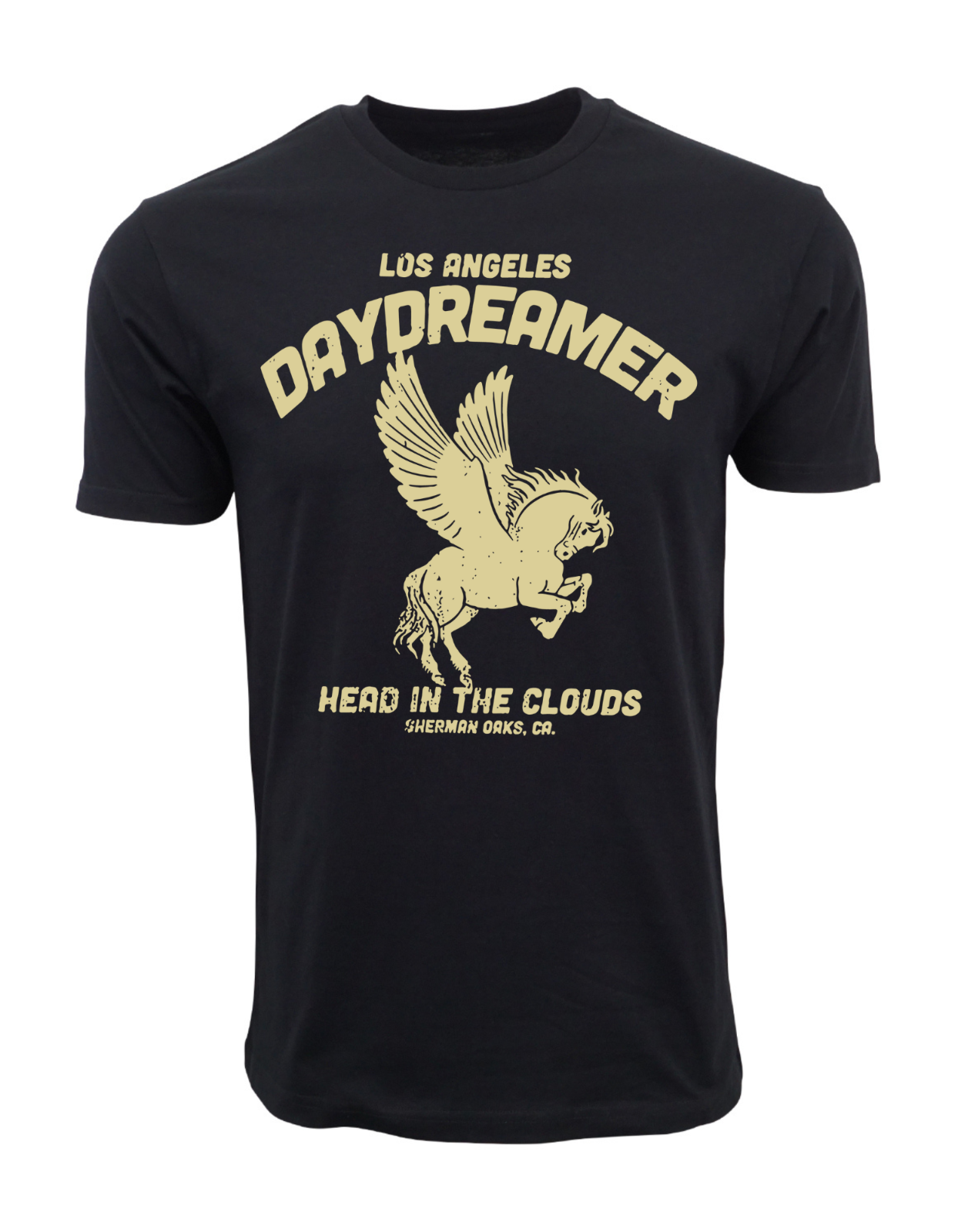 ФУТБОЛКА LOS ANGELES DAYDREAMER SHERMAN OAKS КАЛИФОРНИЯ