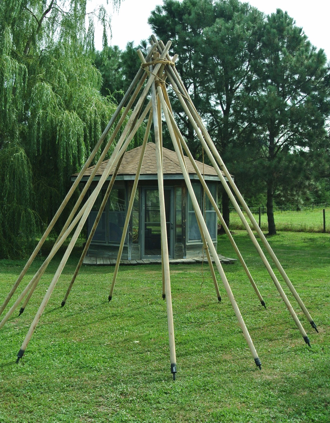 Wooden Tipi Teepee Tepe Poles with Iron Anchor 14'  long  Ash