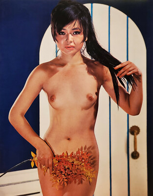 vintage japan nudes  Art  PrintのeBay公認海外通販｜セカイモン