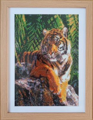 Fotos del artículo de un comprador verificado