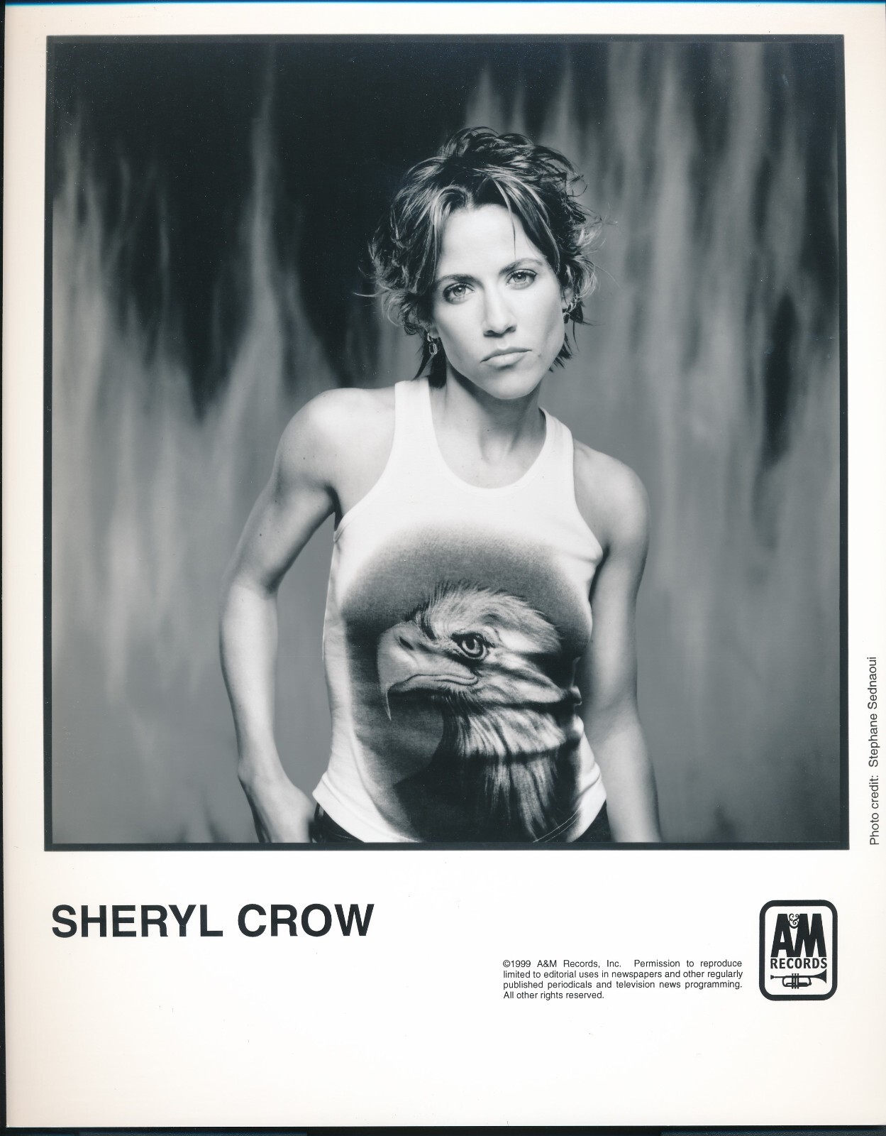 Neil Young Sheryl Crow Sarah Tシャツ 2009年 Neil Young Sheryl Crow Sarah Tシャツ 2009年 Neil Young