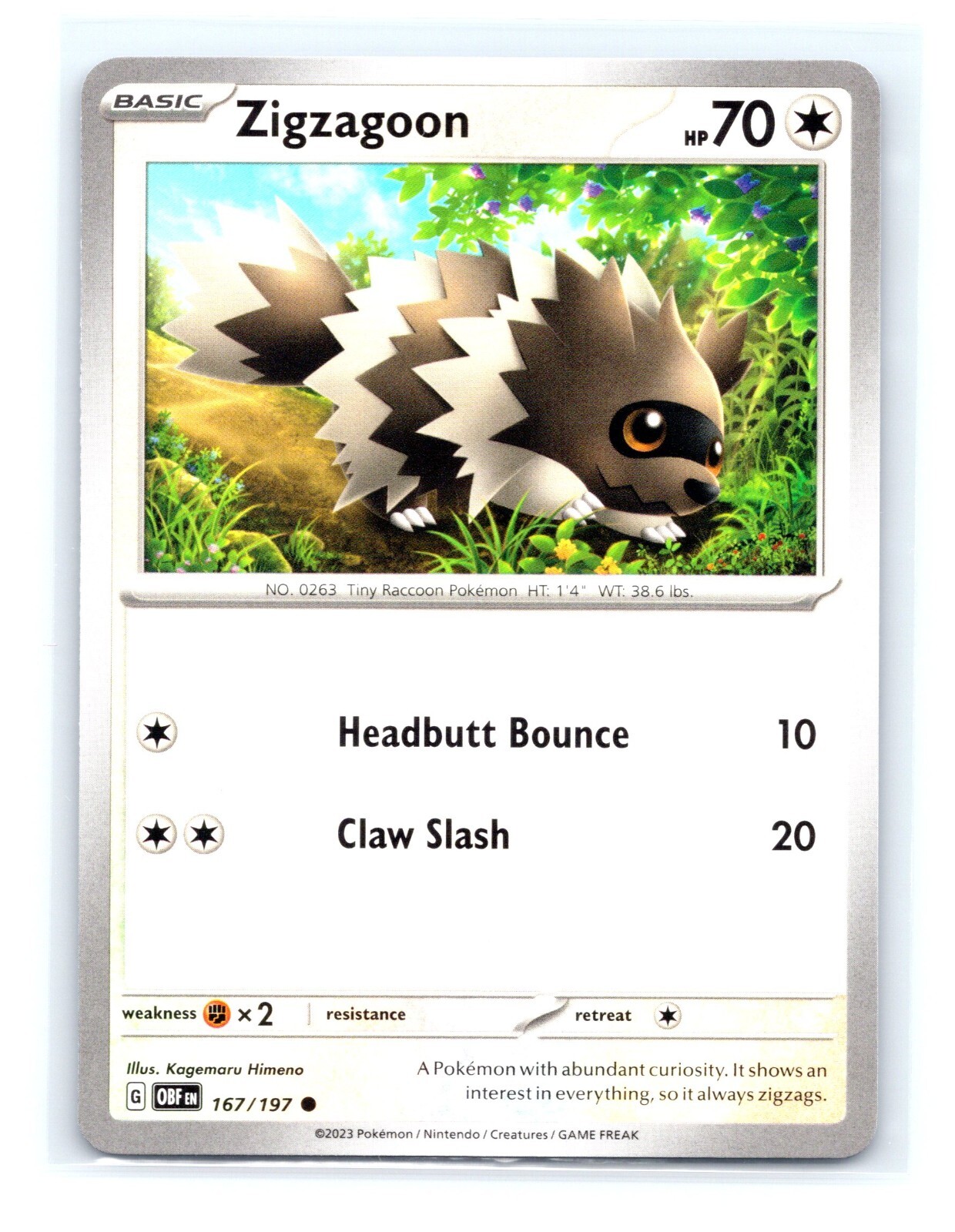 Zigzagoon 167/197 - Obsidian Flames - Common - Pokemon Card Zigzagoon 167/197 - Obsidian Flames - Common - Pokemon Card