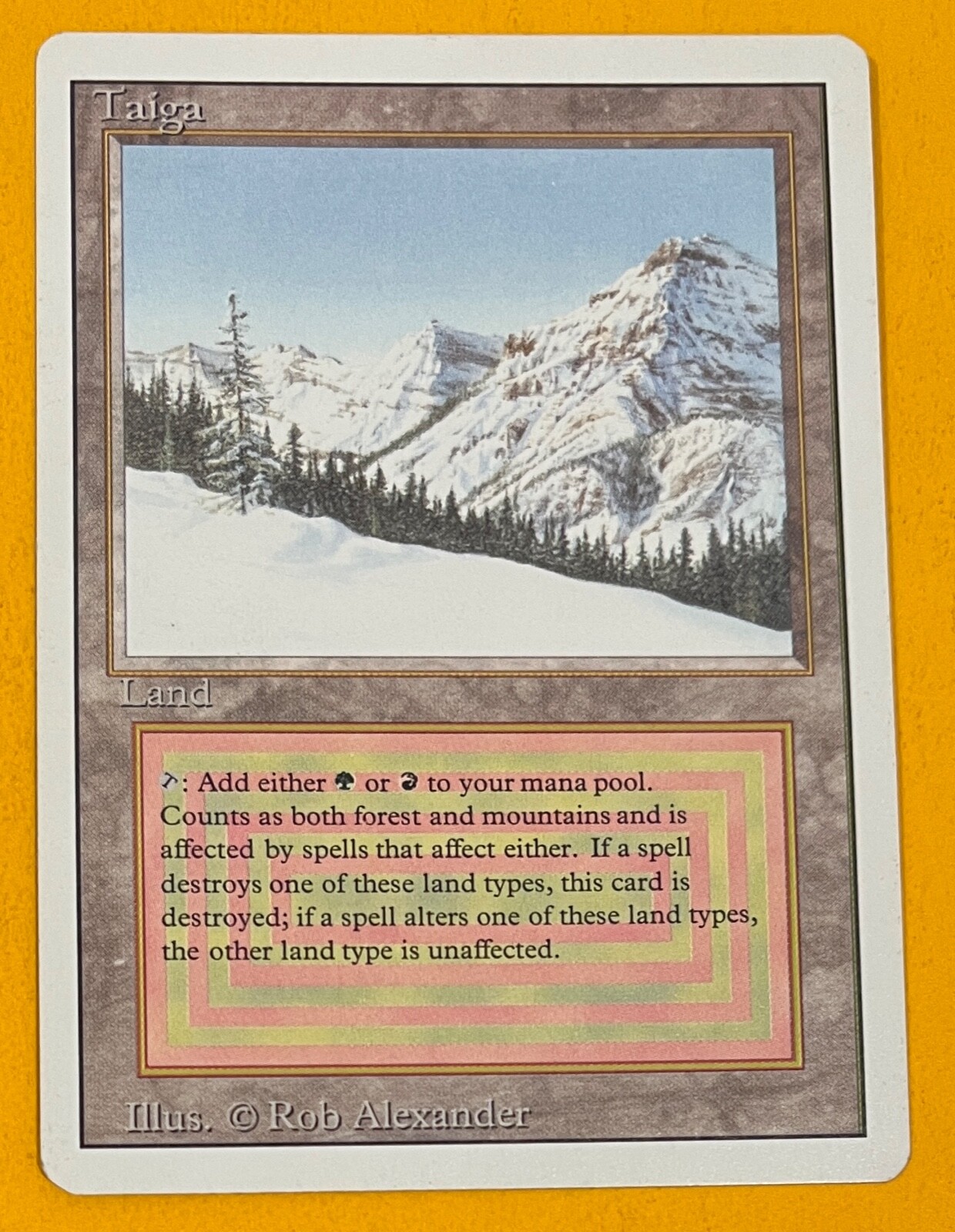 MTG taiga 3ED EN 英語 デュアルランド