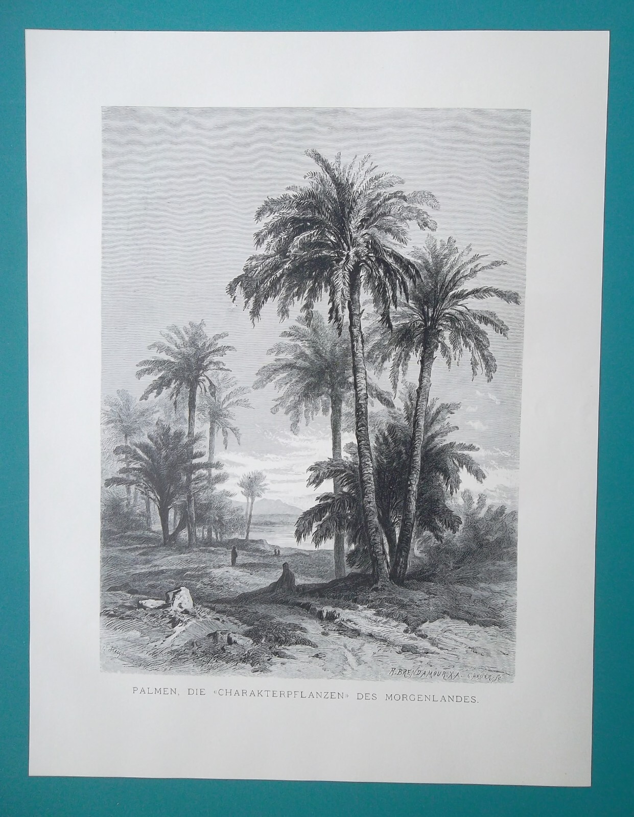 EGYPT Palm Trees Oasis in Desert - 1878 German Print