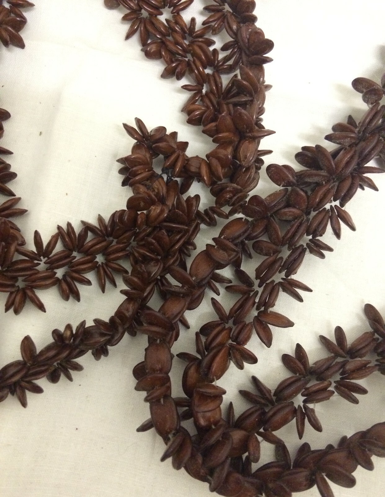 Vtg Artisan Crafted Cowrie Shell Koa Seed 32