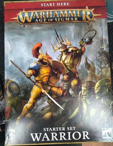Warhammer age of Sigmar Warior starter set GAM8015 | eBay