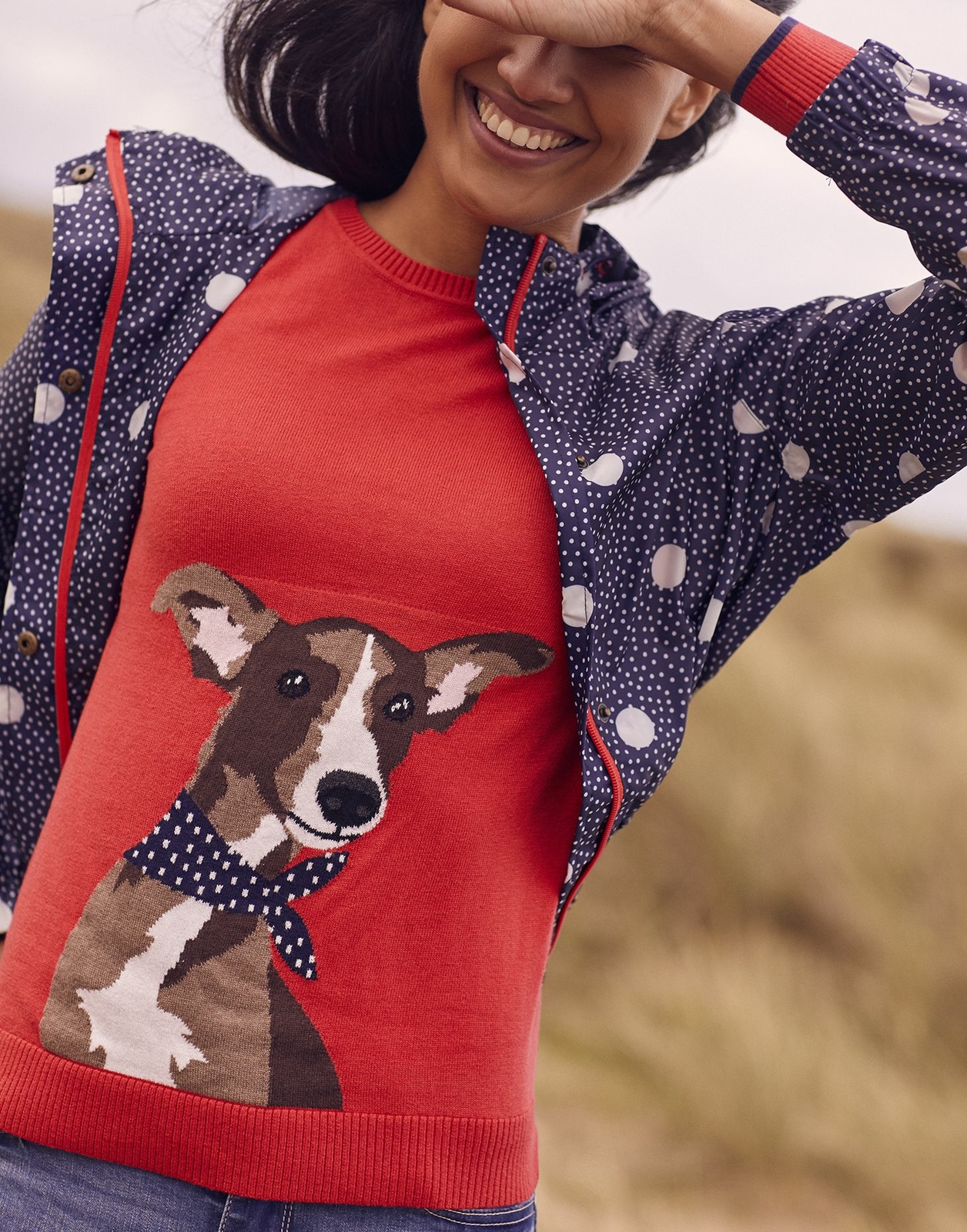 joules queen bee jumper