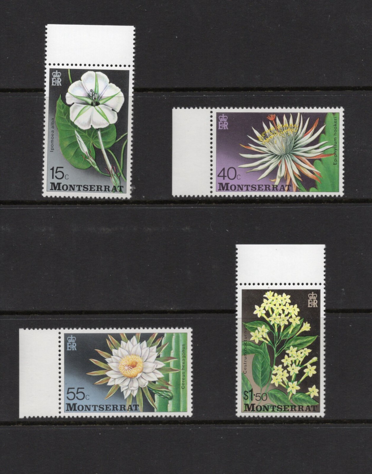 S2092 Hong Kong 1980 Flora Botanical Gardens 4v. MNH | eBay