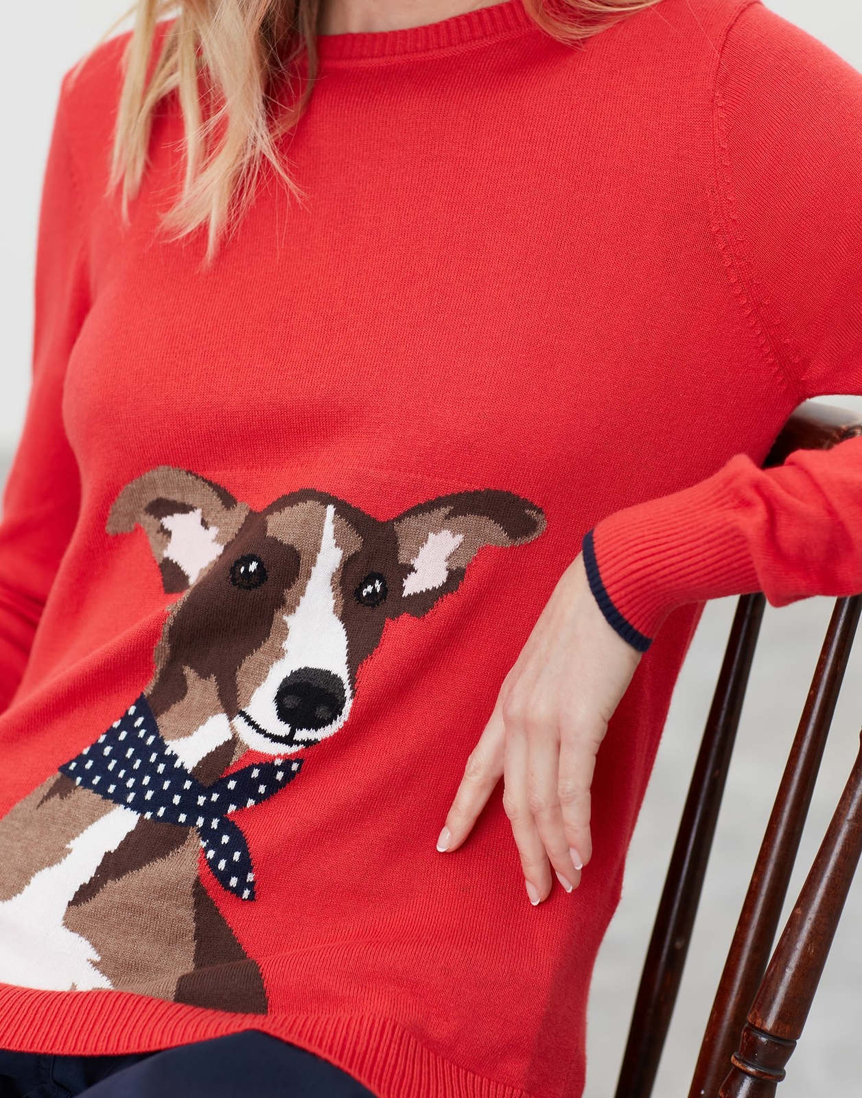 joules queen bee jumper