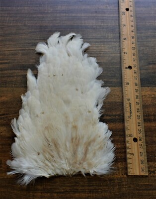 Lot  86,  Natural White Hen Back Saddle Soft Hackle Feathers for Fly Tying