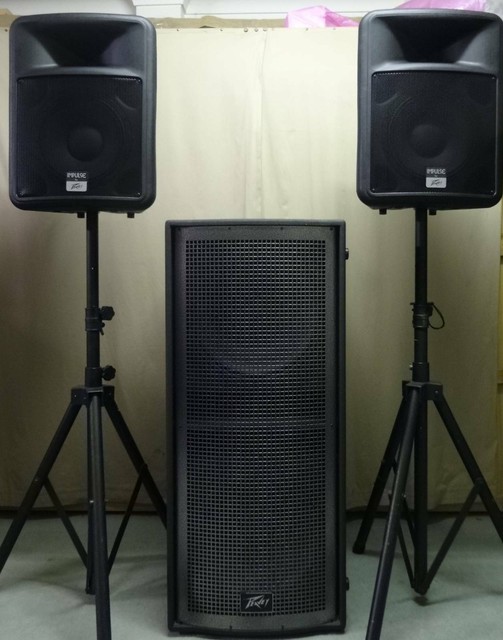 peavey impulse 1012 subwoofer