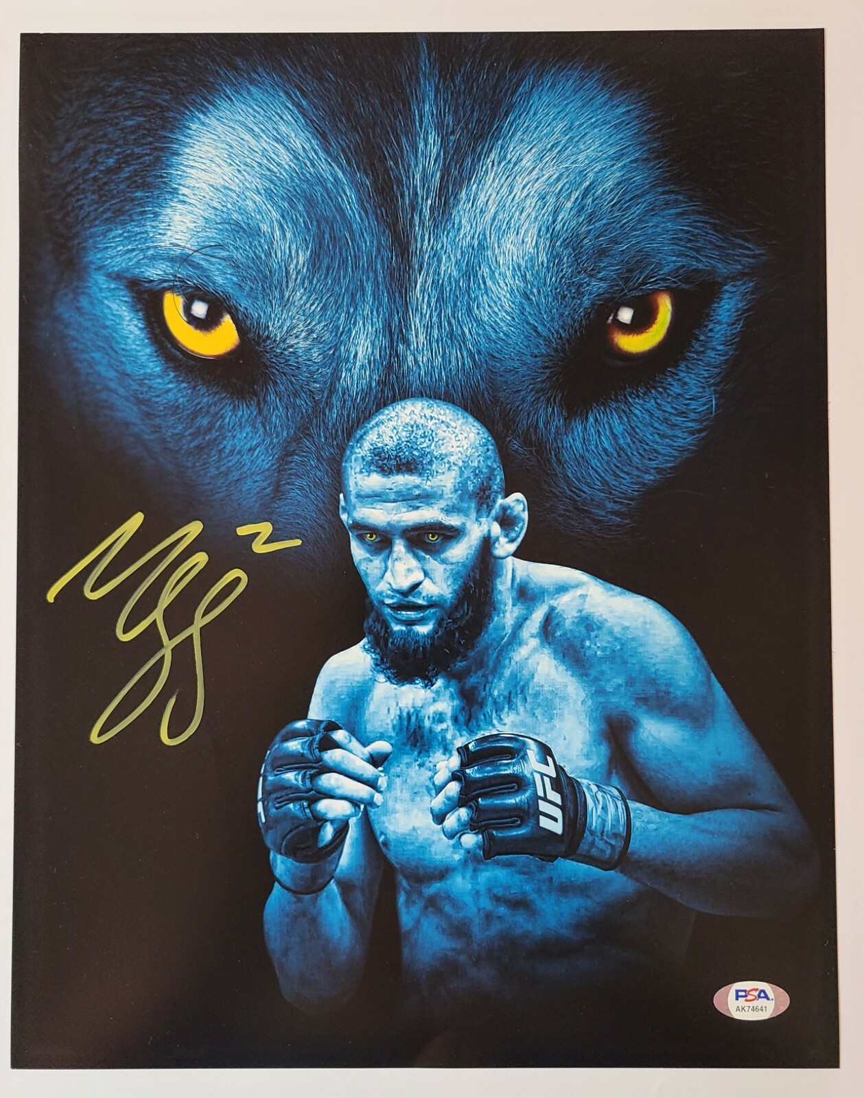 Khamzat “Borz” Chimaev Signed Auto Wolf Eyes 11x14 Photo PSA COA UFC MMA
